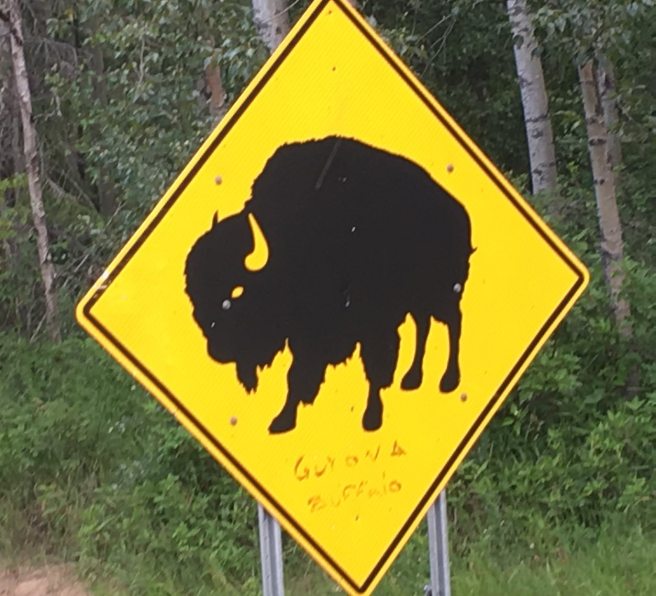 Buffalo sign